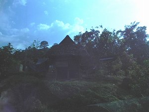 20110227malaysia (13).jpg